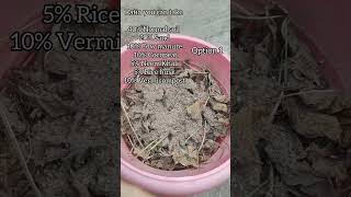 Soil mix for winter flowers gardening floweringplant youtubeshorts garden trending love peace [upl. by Hudnut]