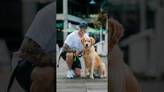 Golden Retriever Portraits dogphotography streetportraits streetphotography 85mm dogportraits [upl. by Kev34]