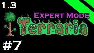 Lets Play Terraria 13 Expert Mode  Episode 7  Giant Shelly [upl. by Taimi]