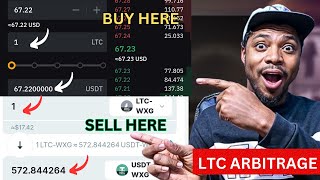 Crypto Arbitrage Trading Opportunity With LTC amp USDT  Crypto Arbitrage Review [upl. by Accalia670]