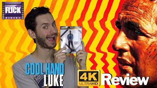 Cool Hand Luke 4K Experience the Timeless Classic Like Never Before [upl. by Senalda]