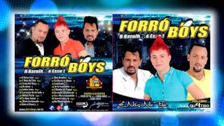 Forró Boys Vol 04  O Novo Som Lançamento [upl. by Damian]