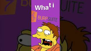 What is Burp Suite [upl. by Lekcim]