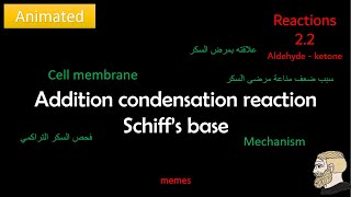 addition condensation Schiffs reagent بطريقة ممتعة [upl. by Tychon]