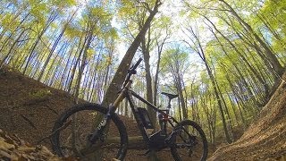 Extreme tuned Haibike xDuro PRO flott im Wald [upl. by Garbe]