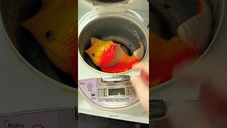 Slippers👟 Fry🍳 New Viral Gadgets Smart AppliancesKitchen UtensilsHome Inventions shortsgadgets [upl. by Hedvah]