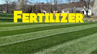 Spring Lawn Fertilizer Tips And Tricks SPOON FEEDING [upl. by Eihtur]