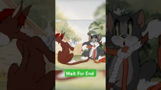 Tom and Jerry shorts shortsvideo shortsfeed [upl. by Nesmat]