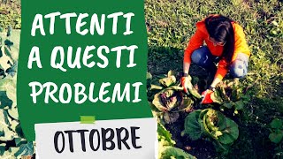 3 Problemi dellORTO a OTTOBRE [upl. by Gayleen286]