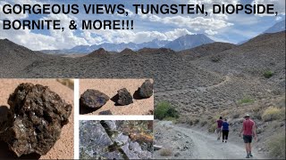 Rockhounding The Tungsten Hills A TREASURE TROVE OF COOL MINERALS Bishop CA [upl. by Jaynes]