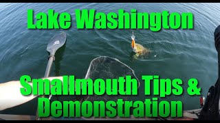 Lake Washington Smallmouth Bass Fishing Tips amp Demo [upl. by Joycelin]