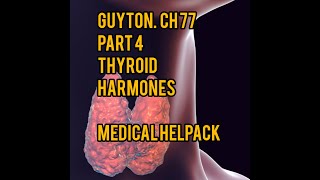 Regulation of thyroid harmones guyton ch 77 part 4 physiology [upl. by Aietal]