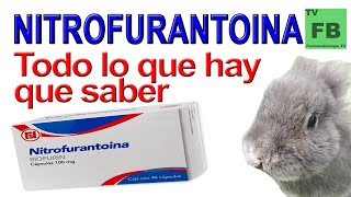 NITROFURANTOINA Para qué Sirve Cómo se toma y todo lo que hay que saber ¡Medicamento Seguro👨‍🔬💊 [upl. by Remled]