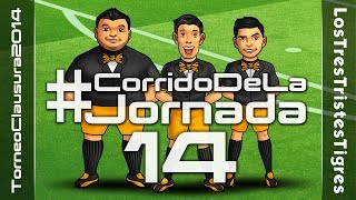 CorridoDeLaJornada 14  Torneo Clausura 2014  Los Tres Tristes Tigres [upl. by Butte]