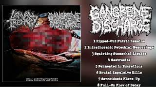 Split W Larval Therapy  Gangrene Discharge 2024 GOREGRIND [upl. by Deirdre94]