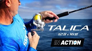 Shimano Talica II 12 amp 16  Trolling for southern bluefin tuna with Lee Rayner [upl. by Spieler]