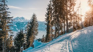 Schneealpe  Windberg  Wandern Steiermark  Hiking in Austria  Niederösterreich [upl. by Nwahsad]