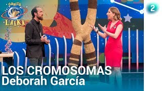 Química con Deborah García Los cromosomas  Órbita Laika  La 2 [upl. by Ellerd601]