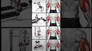 Back biceps workout bicepsworkout gymworkout [upl. by Allecram]