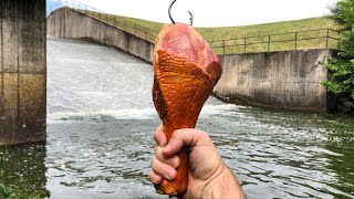 This Bait Caught The BIGGEST of The YEAR Surprise Catch [upl. by Lednek893]