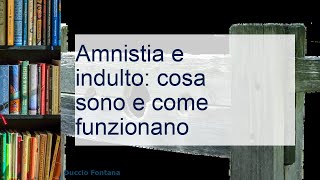 Amnistia e indulto significato destinatari applicazioni [upl. by Fullerton]