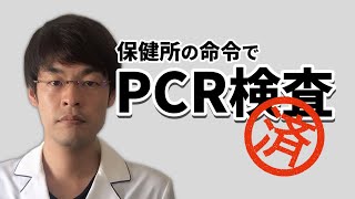 【PCR検査しました】検査が明確にわかりました。医療者目線から話します【結論：PCRを簡単にするのは危険】 [upl. by Cohdwell598]