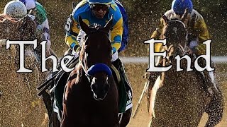 The End  Equine Racing Music Video [upl. by Babcock898]