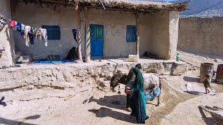 Buying gas cylinders for cooking from the neighboring village [upl. by Shepley]