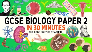 All of GCSE BIOLOGY Paper 2 in 30 minutes  The GCSE Science Teacher [upl. by Cully252]