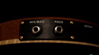 PRS P24 Review  Part 2 Piezo pleasure [upl. by Adierf325]