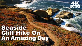 Peaceful Walk On a Seaside Cliff Trail at Bodega Heads Horseshoe Cove Overlook Trail [upl. by Ttegdirb]