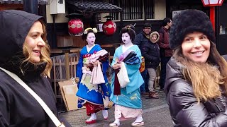 Geishas Walk in Hanamikoji Gion Kyoto  人生初！夢だった大好きな京都祇園、花見小路で舞妓さんを見て大感激する外国人観光客、海外の反応 [upl. by Hoffarth]