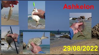 4K 29082022 אשקלון Ашкелон Ashkelon דיג рыбалка fishing גן לאומי  חוף זיקים [upl. by Flower643]