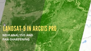 Landsat9 in ArcGIS Pro NDVI and PanSharpening Analysis [upl. by Oznofla]