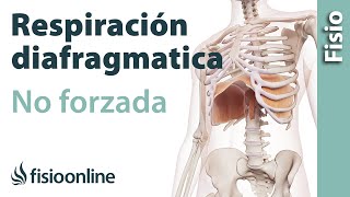 Respiración diafragmática o abdominal no forzada [upl. by Upshaw132]