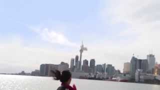 Meteor hits CN Tower Toronto [upl. by Hpesojnhoj]