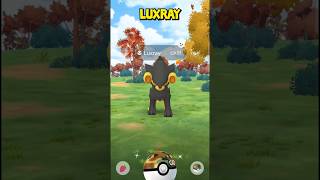 The Pokémon Go Wild Area Shiny Hunts Are Insane [upl. by Desirea]