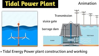 tidal energy  tidal power plant in hindi  animation  working  barrage type  double basin type [upl. by Thevenot]