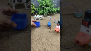 Mini motor water pump project mini hand pump project cow bathed video  150 [upl. by Ennis]