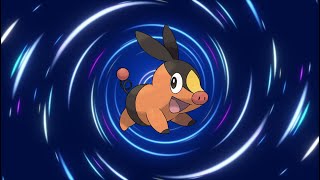 Tepig Evolution Line [upl. by Jerold]