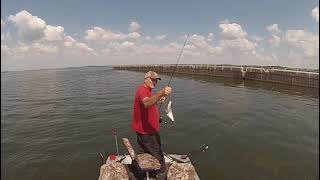 Rob and Tom catfishing Woodruff Dam Sneads Florida [upl. by Mattias798]