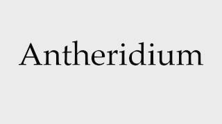 How to Pronounce Antheridium [upl. by Okia748]