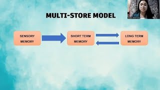 MULTISTORE MODEL OF MEMORY MSM [upl. by Ylas]