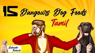 நாய்களுக்கு கொடுக்க கூடாத 15 உணவுகள் 15 Dangerous Foods for dog [upl. by Borman]