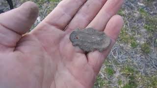 Some North Carolina Metal Detecting and Silver [upl. by Wendi]