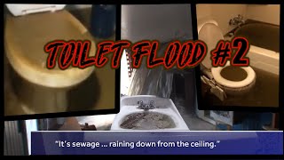 TOILET FLOOD COMPILATION 2  BROWN WATER [upl. by Smitt]