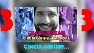 Çılgın Serkan  Cıncık Gibisin Karaoke  Delivizyon [upl. by Kathe]