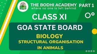 GOA BOARD  CLASS 11  BIOLOGY  STRUCTURAL ORGANISATION IN ANIMALS  PART 1 [upl. by Dloreh490]