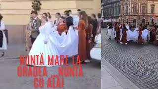 Nunta Anului La Oradea  La Primăria Oradea cu Ceterași [upl. by Winograd603]