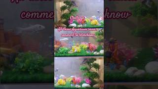 Aquarium Decor ideas 🐟 🐠 shorts shortsvideo Aquascape [upl. by French]